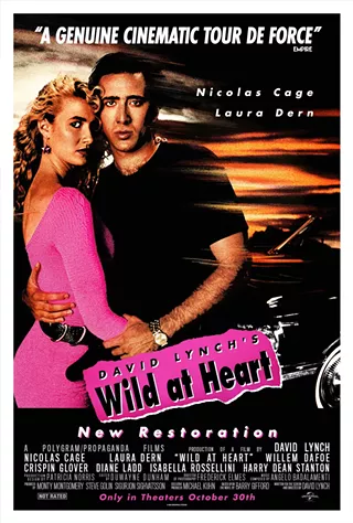 Image: Wild At Heart - Unrated
